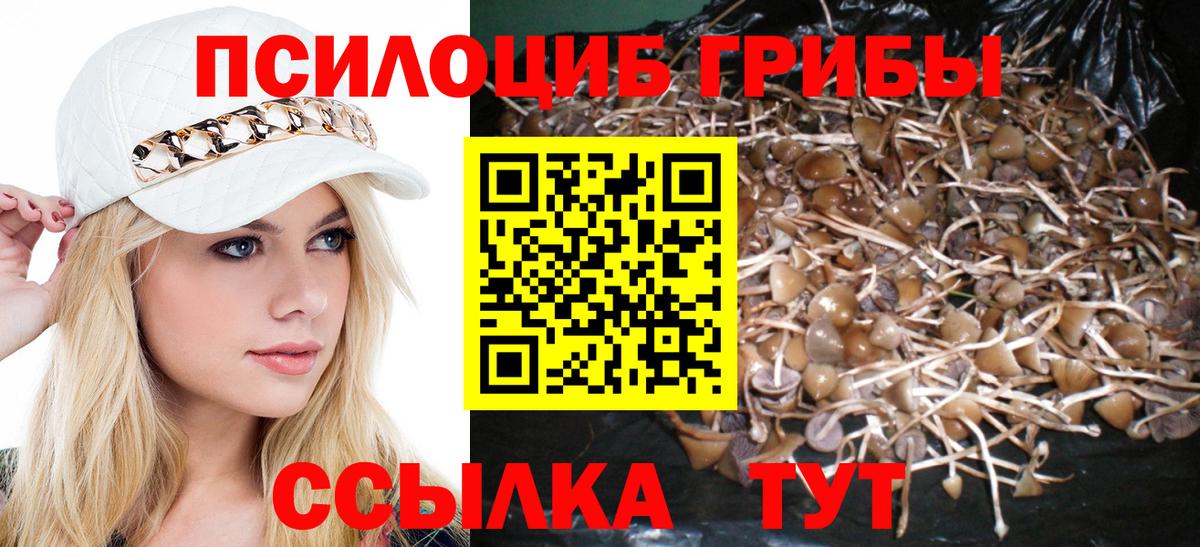 Галлюциногенные грибы MAGIC MUSHROOMS  где купить   Киржач  Вход с VPN 