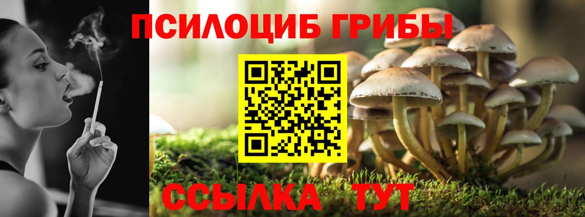 Галлюциногенные грибы мицелий Киржач